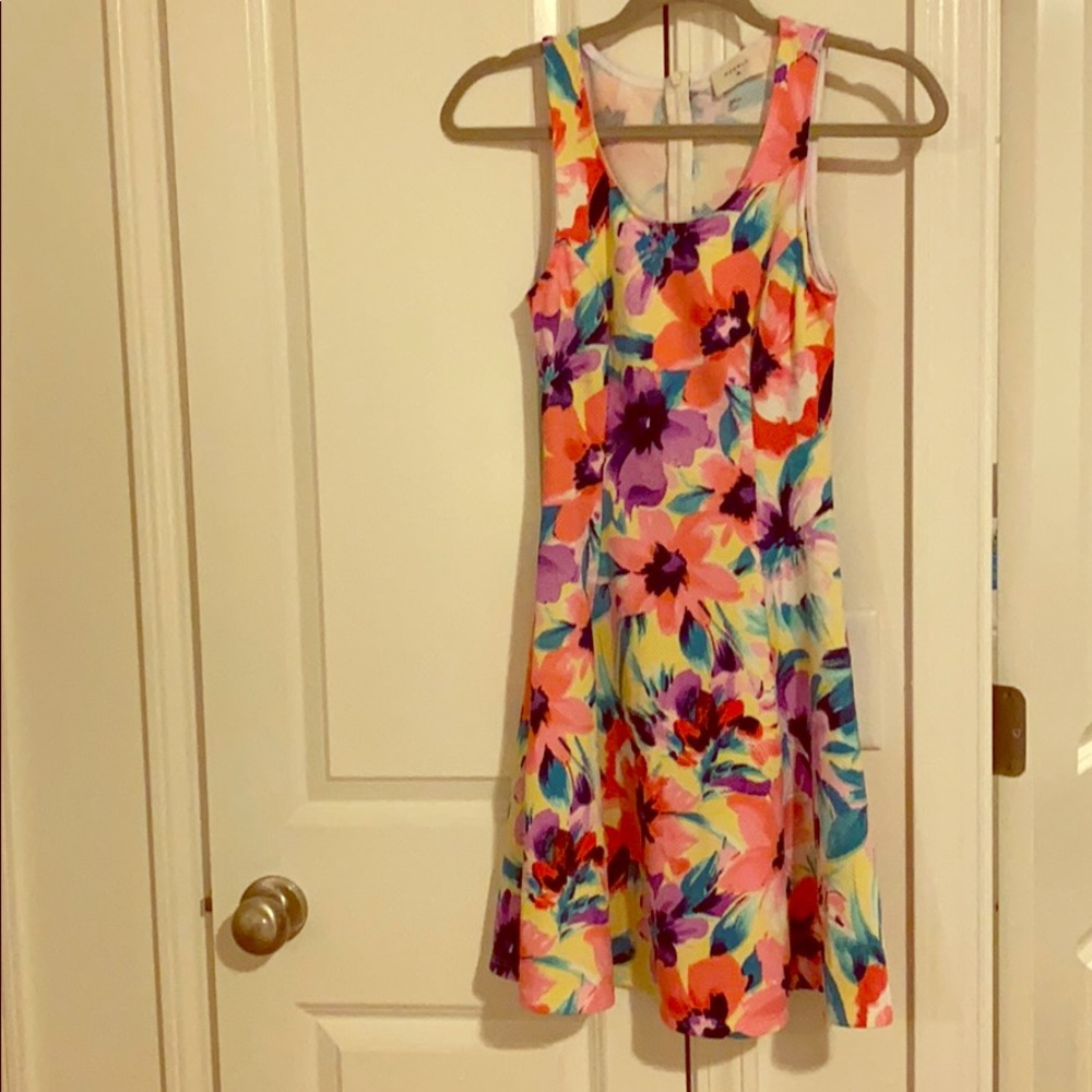 Spring Dress